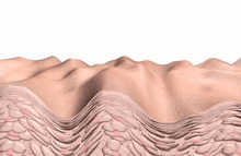 Load image into Gallery viewer, Korean Fairy Skincare™ 5 in 1 Face Lifting EMS/RF Massager